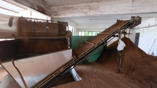 Fibre separation machine and conveyor with a pile of screened coir peat