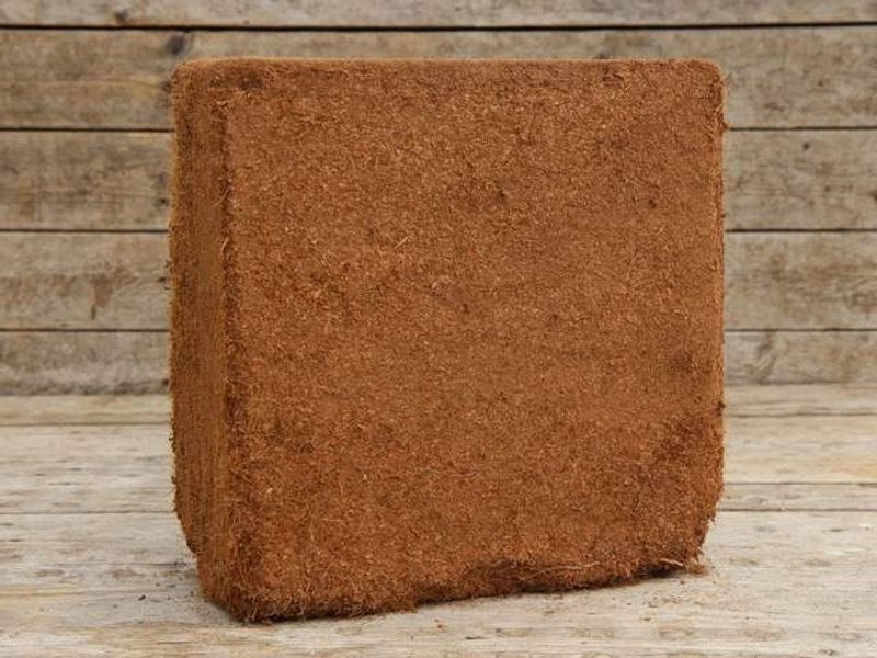 A compressed 5 kg coco peat block