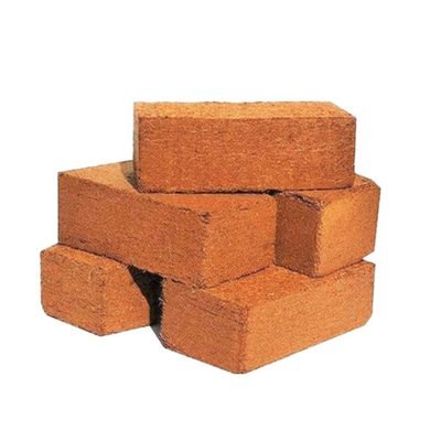 Coco peat briquettes