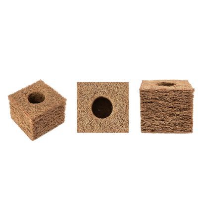 Coir propagation cubes