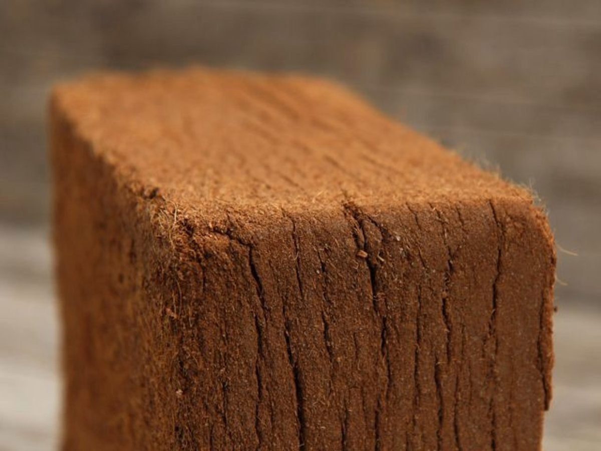 Close-up of compressed coir